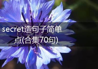 secret造句子简单点(合集70句)