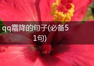 qq霜降的句子(必备51句)