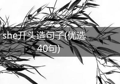 she开头造句子(优选40句)