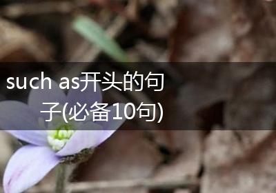 such as开头的句子(必备10句)