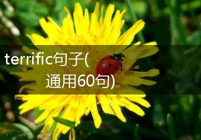 terrific句子(通用60句)
