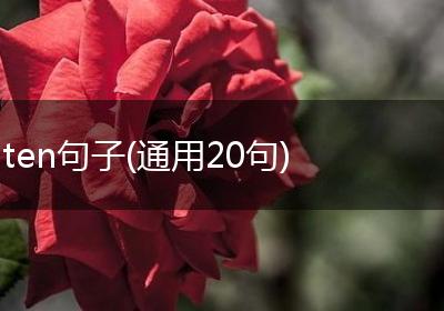ten句子(通用20句)