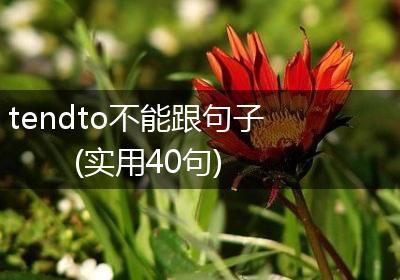 tendto不能跟句子(实用40句)