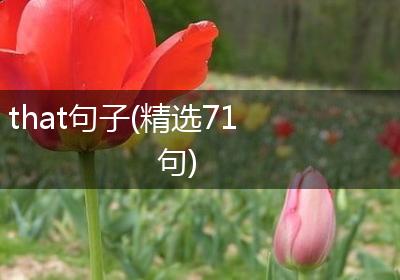 that句子(精选71句)