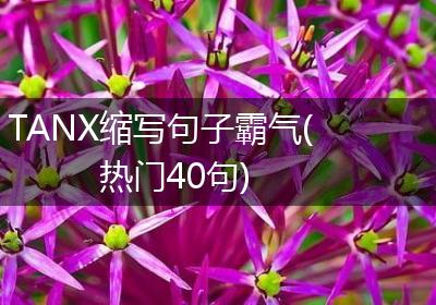 TANX缩写句子霸气(热门40句)