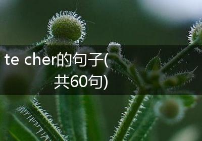 te cher的句子(共60句)