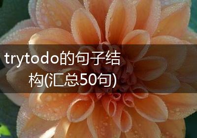 trytodo的句子结构(汇总50句)