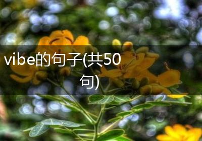 vibe的句子(共50句)