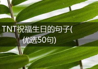 TNT祝福生日的句子(优选50句)