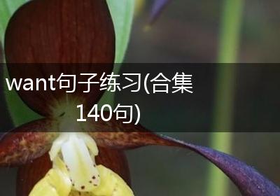 want句子练习(合集140句)