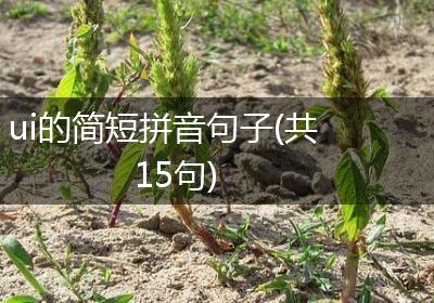 ui的简短拼音句子(共15句)