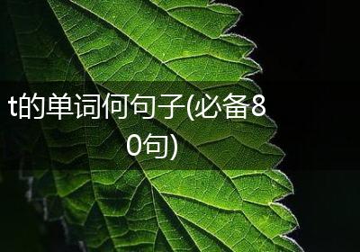 t的单词何句子(必备80句)