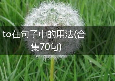 to在句子中的用法(合集70句)