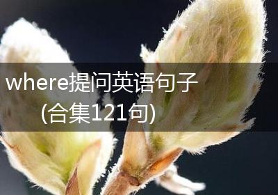 where提问英语句子(合集121句)
