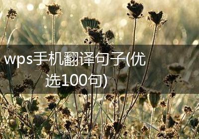 wps手机翻译句子(优选100句)