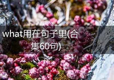 what用在句子里(合集60句)