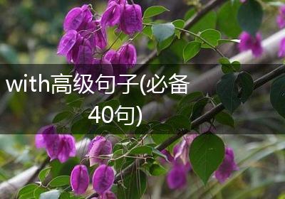 with高级句子(必备40句)