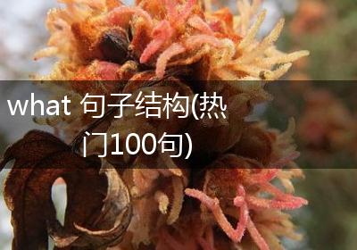 what 句子结构(热门100句)