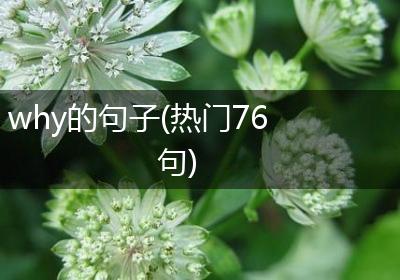 why的句子(热门76句)