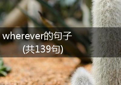 wherever的句子(共139句)
