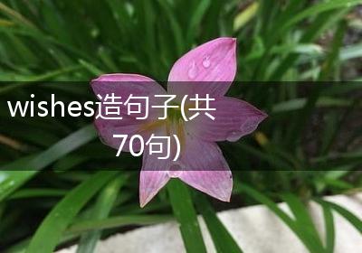 wishes造句子(共70句)