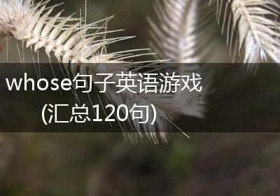 whose句子英语游戏(汇总120句)