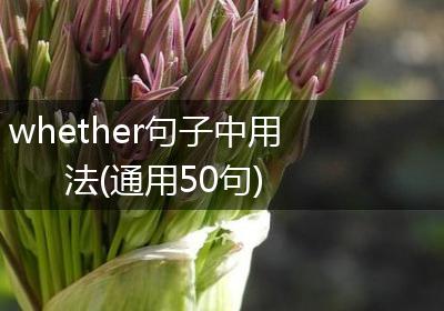 whether句子中用法(通用50句)