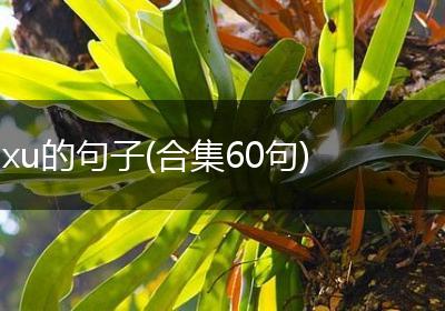 xu的句子(合集60句)