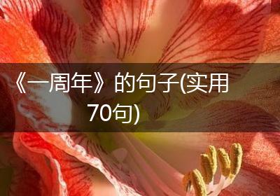 《一周年》的句子(实用70句)