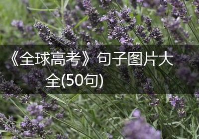 《全球高考》句子图片大全(50句)