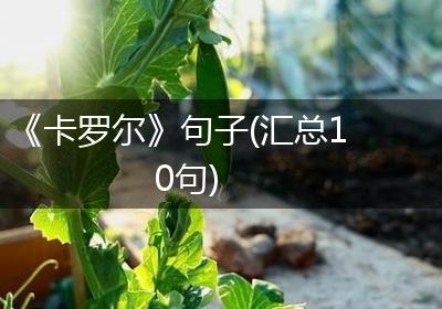 《卡罗尔》句子(汇总10句)