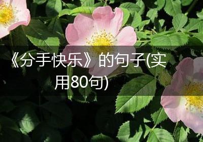 《分手快乐》的句子(实用80句)