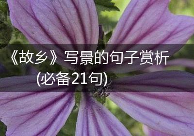 《故乡》写景的句子赏析(必备21句)