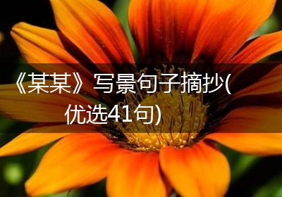 《某某》写景句子摘抄(优选41句)