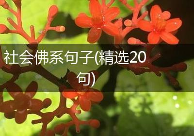 社会佛系句子(精选20句)