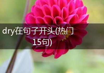 dry在句子开头(热门15句)