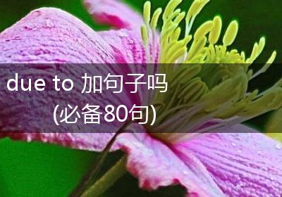 due to 加句子吗(必备80句)