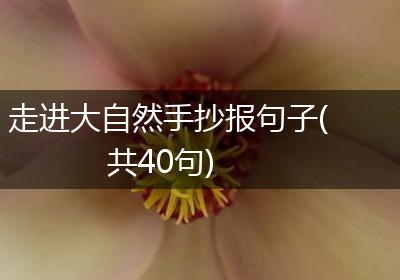 走进大自然手抄报句子(共40句)