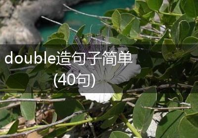 double造句子简单(40句)