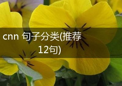 cnn 句子分类(推荐12句)