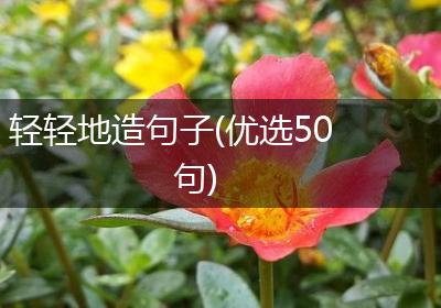 轻轻地造句子(优选50句)