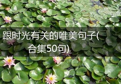 跟时光有关的唯美句子(合集50句)
