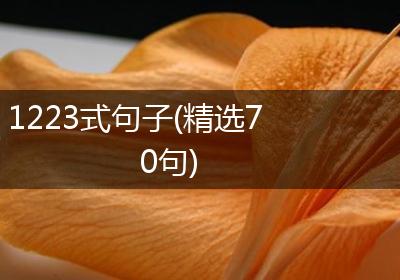 1223式句子(精选70句)