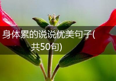 身体累的说说优美句子(共50句)
