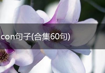 con句子(合集60句)