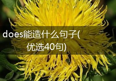 does能造什么句子(优选40句)