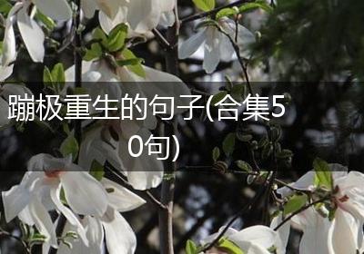 蹦极重生的句子(合集50句)