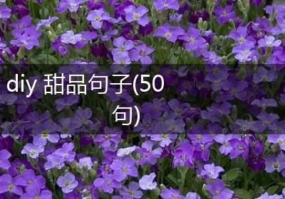 diy 甜品句子(50句)