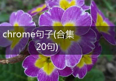 chrome句子(合集20句)