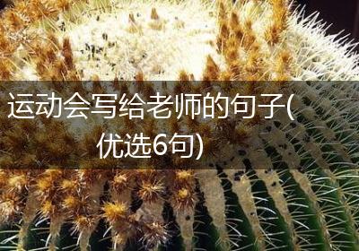 运动会写给老师的句子(优选6句)